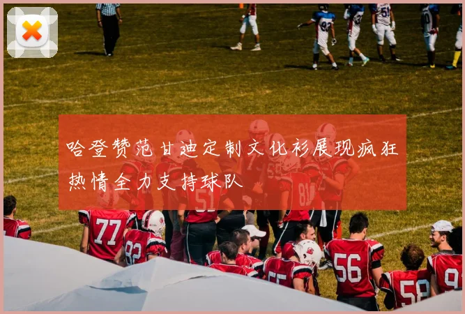 哈登赞范甘迪定制文化衫展现疯狂热情全力支持球队
