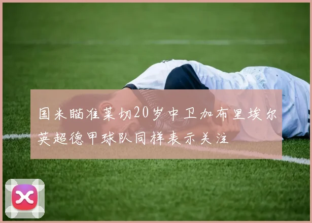 国米瞄准莱切20岁中卫加布里埃尔英超德甲球队同样表示关注