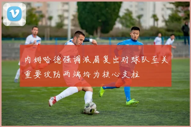 内姆哈德强调浓眉复出对球队至关重要攻防两端均为核心支柱