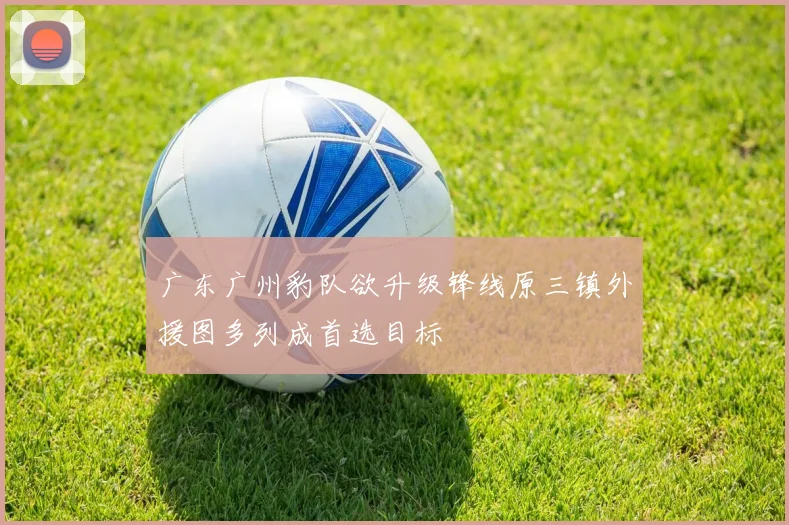 广东广州豹队欲升级锋线原三镇外援图多列成首选目标