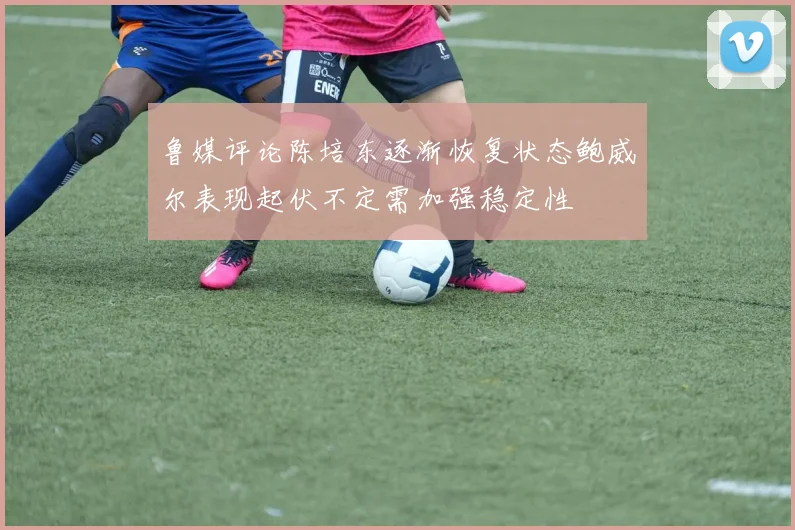 鲁媒评论陈培东逐渐恢复状态鲍威尔表现起伏不定需加强稳定性